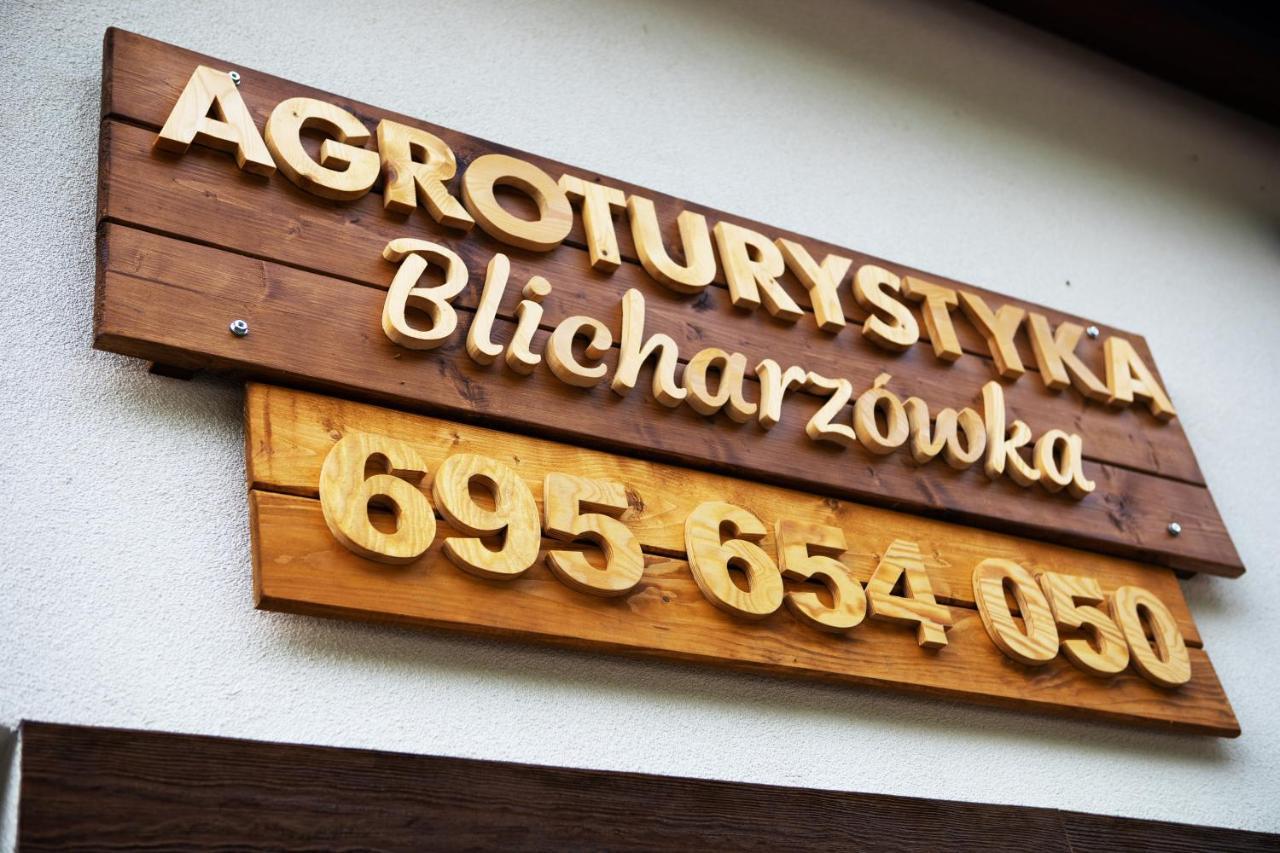 Agroturystyka Blicharzowka Noclegi Bukowka Kültér fotó